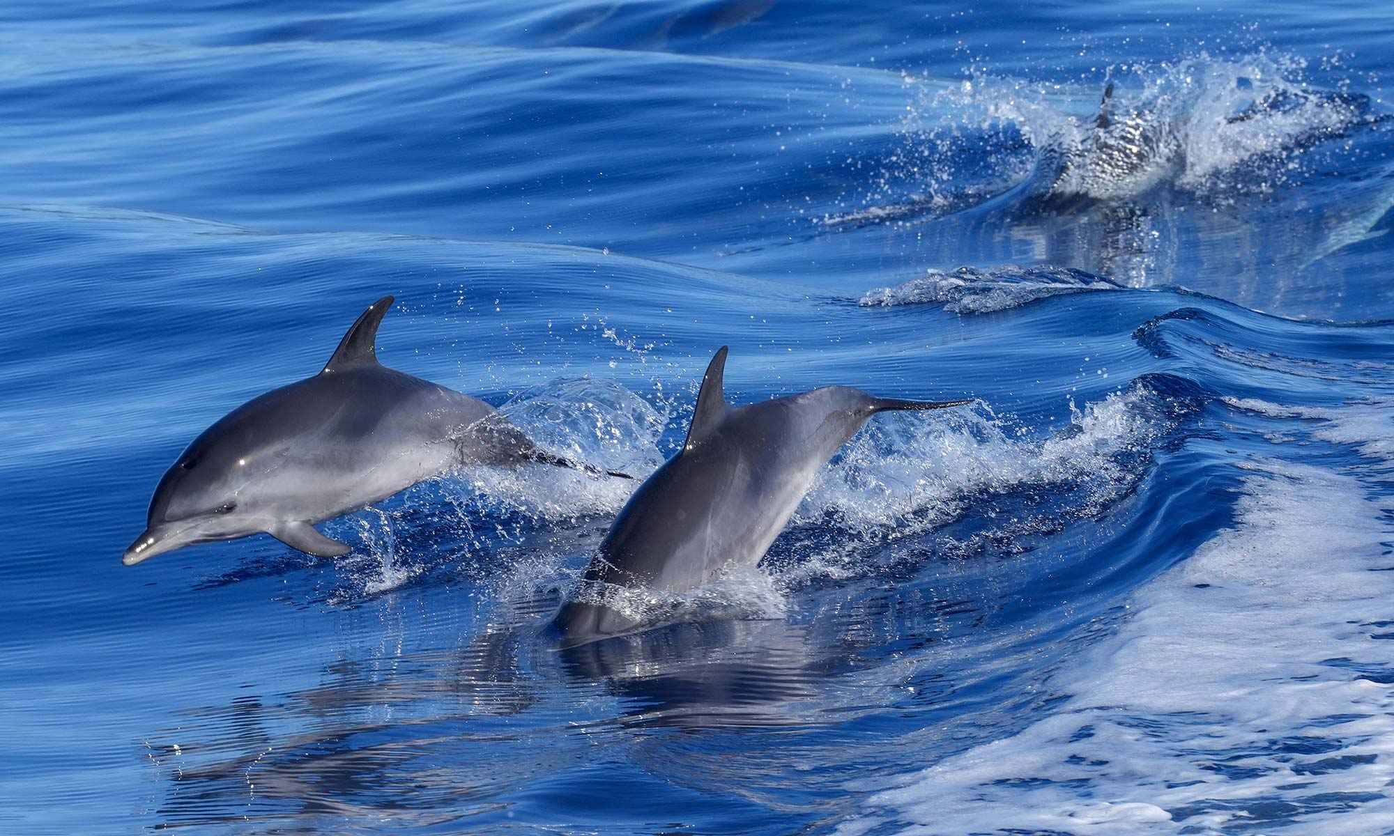 Journée du recyclage : nos engagements