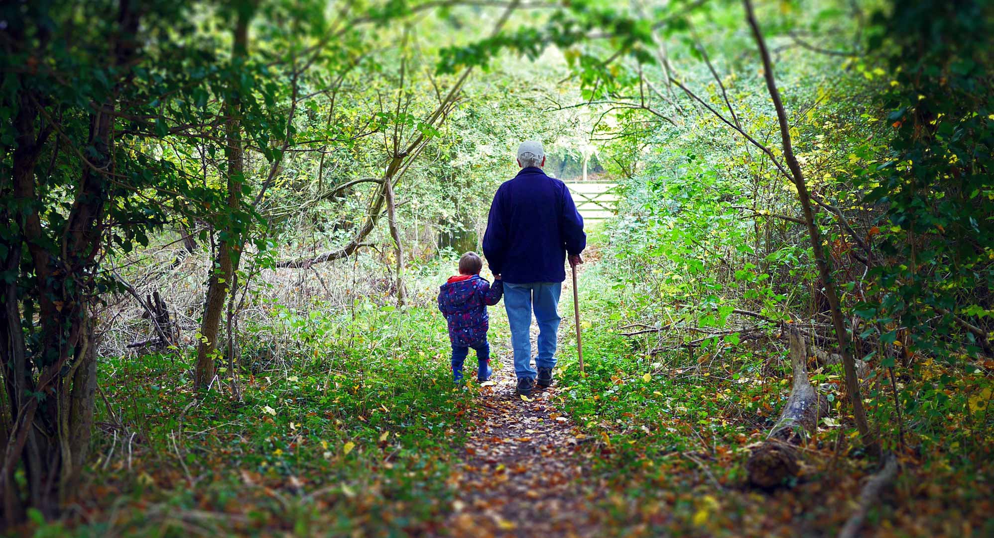 Notre selection pour la fête des grands-peres