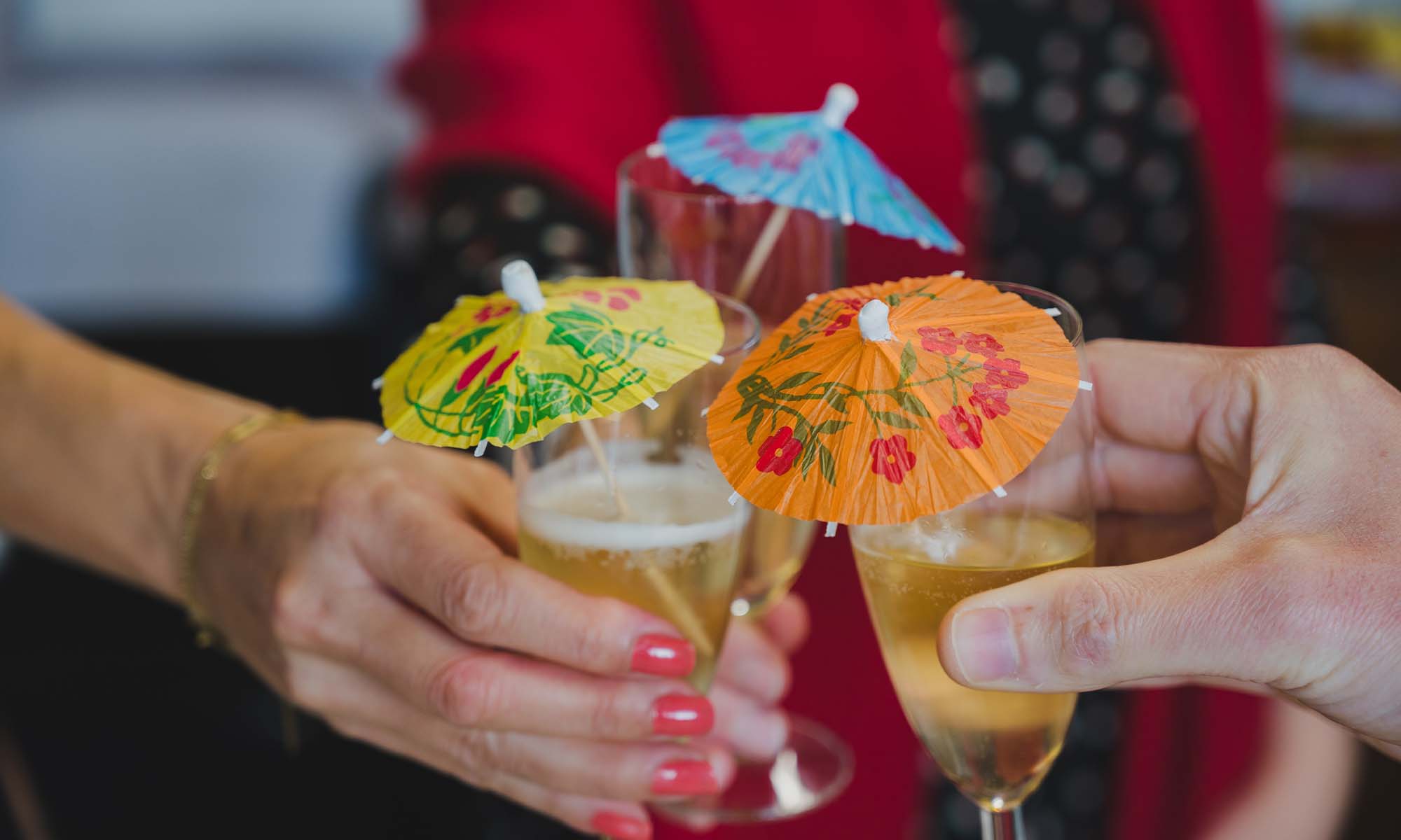 Une année 2024 exceptionnelle chez Cosy Club💚