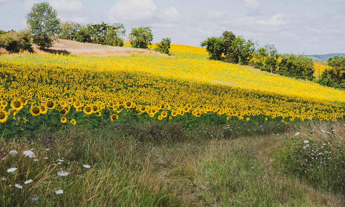 JUILLET À L'ATELIER 🌞