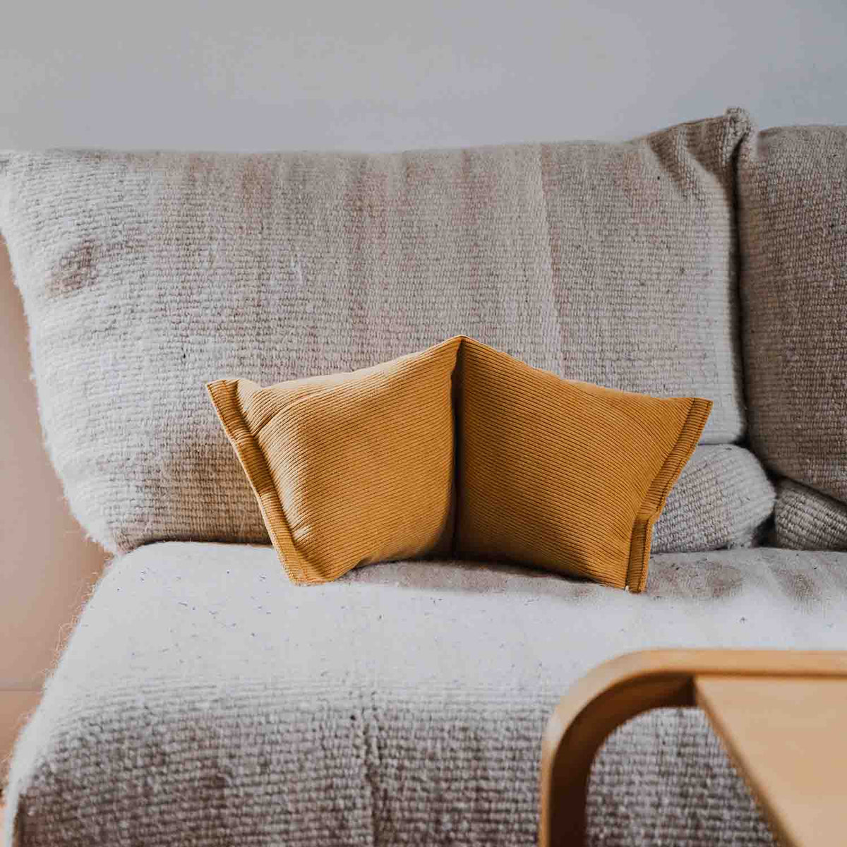 Coussin cervical · SALVADOR Stockholm (velours)